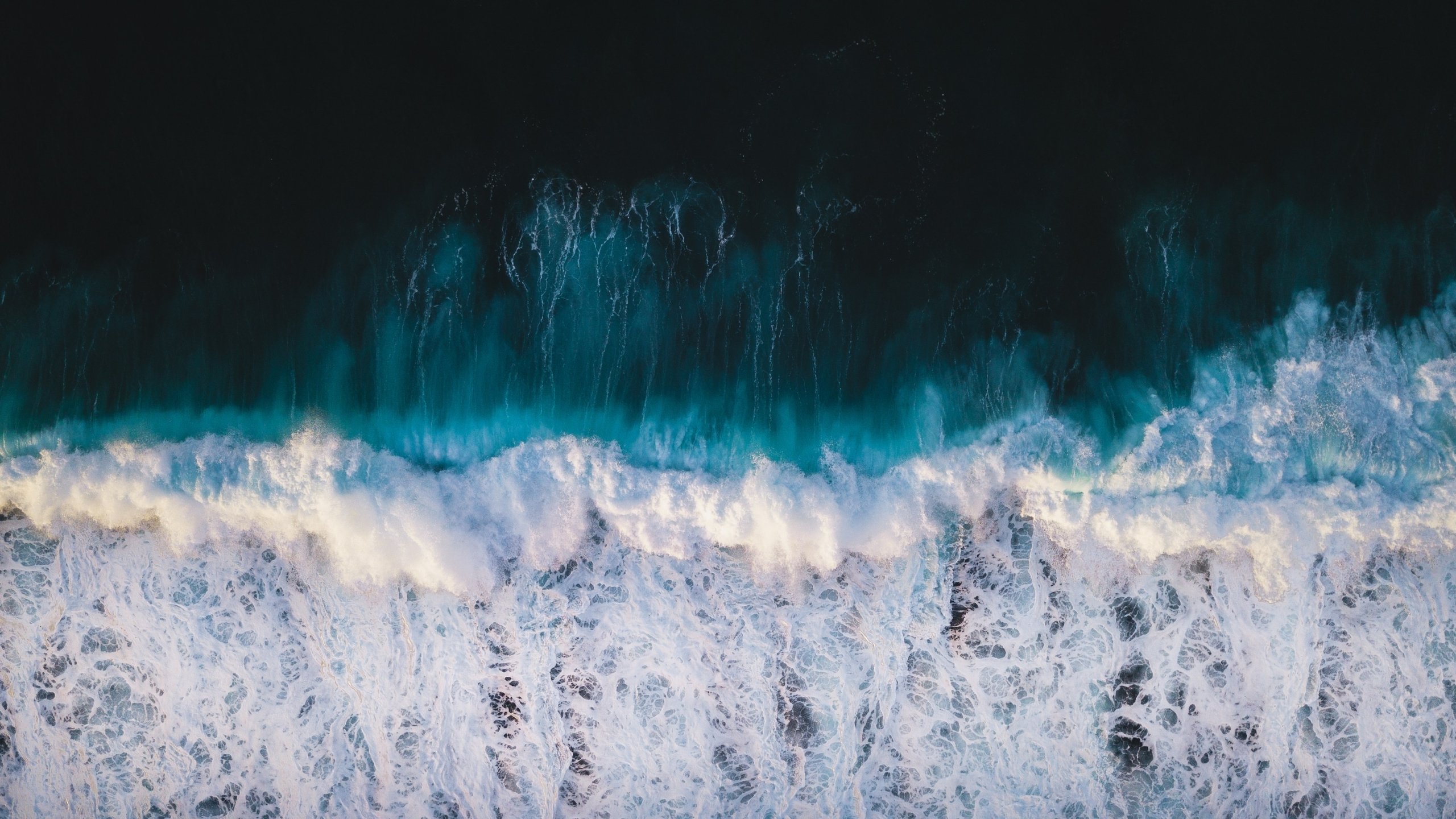 The ocean first: CMCC research and applications for the World Oceans Day