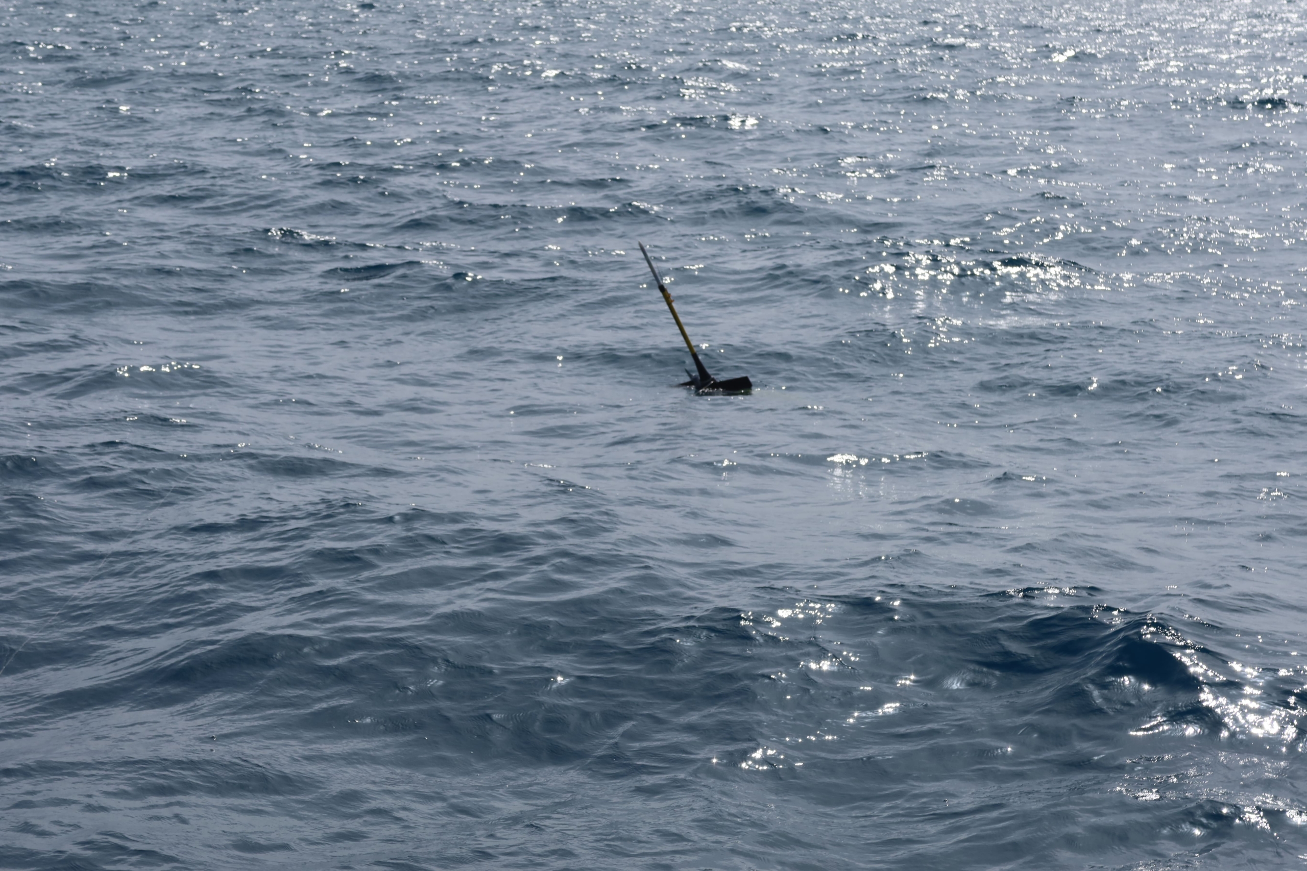 Alla scoperta del mare: il glider del CMCC esplora le profondità per indagare sugli impatti del clima