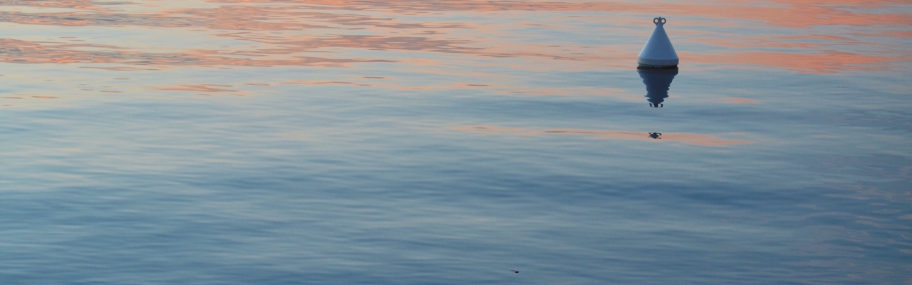 A buoy in sea water.