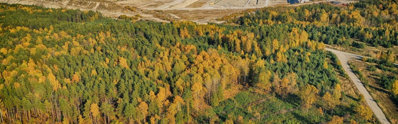 road with trees and a processing plant