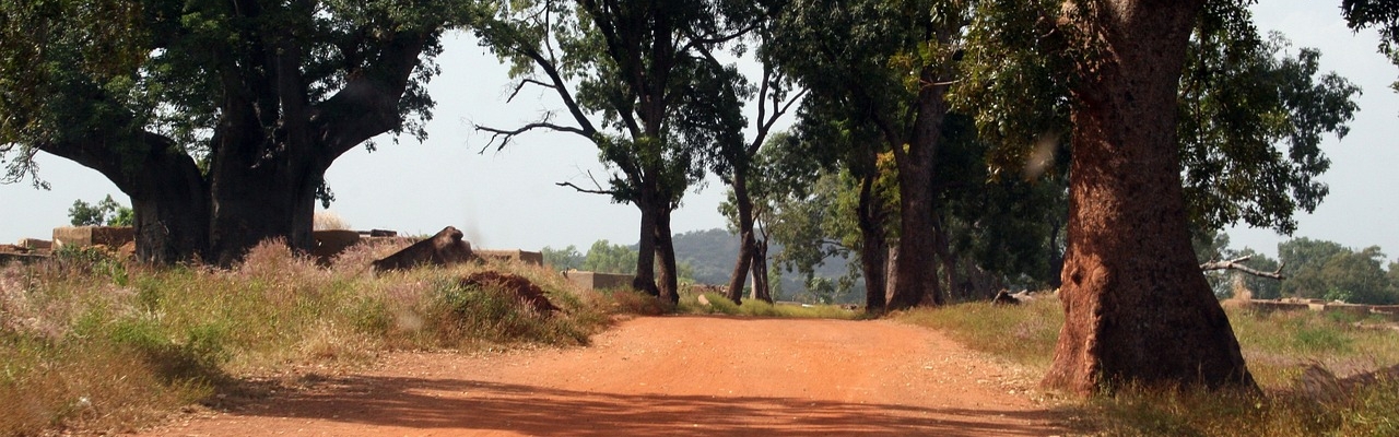 Path in Burkina Faso