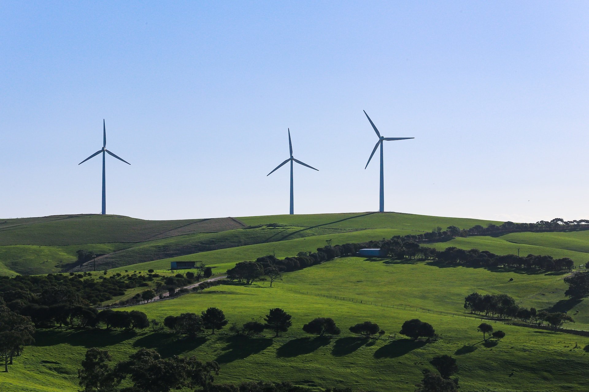 Crescita verde: emerge scetticismo tra chi studia le politiche climatiche