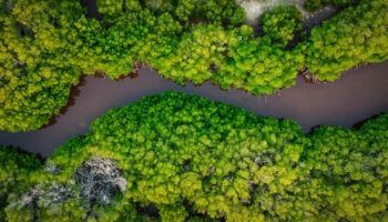 Il 13-15 settembre 2023, a Bonn, si celebrerà con un workshop il 15° anniversario della Partnership for Environment and Disaster Risk Reduction (PEDRR). Jaroslav Mysiak, direttore della Divisione CMCC Risk Assessment and Adaptation Strategies e coordinatore del progetto Naturance, prenderà parte all'evento, in cui modererà una sessione sul finanziamento di soluzioni basate sulla natura per la riduzione del rischio di disastri e l'adattamento ai cambiamenti climatici.