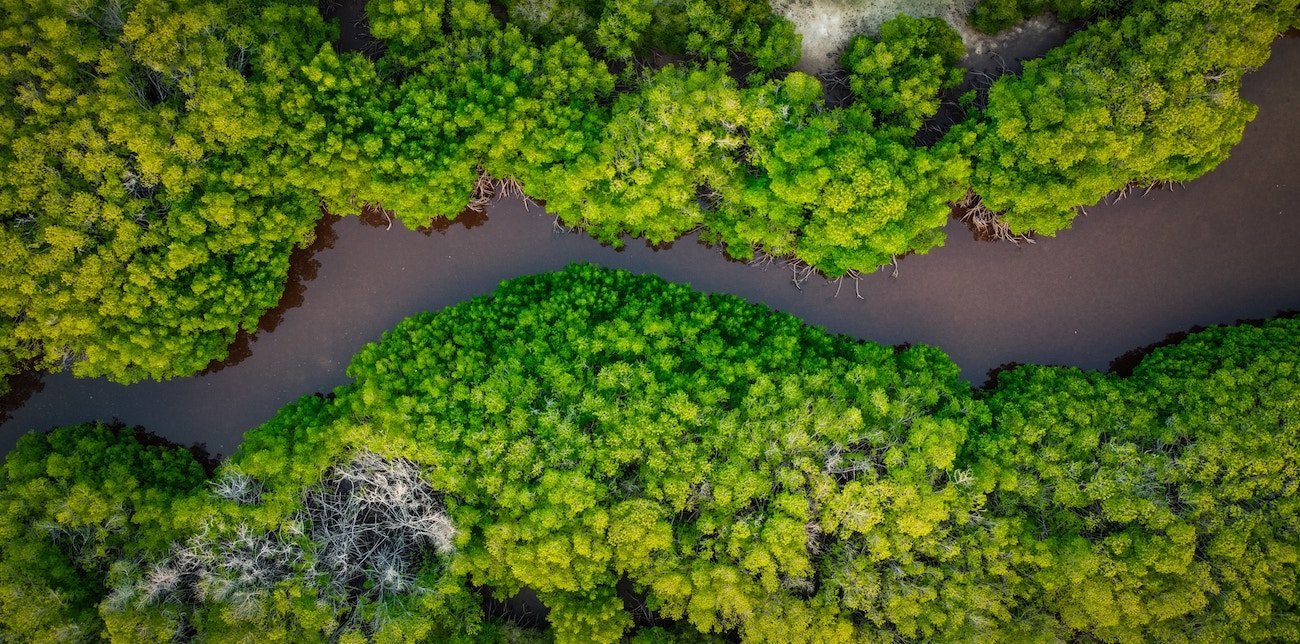 Nature as a connector between disaster risk reduction, climate, land and biodiversity