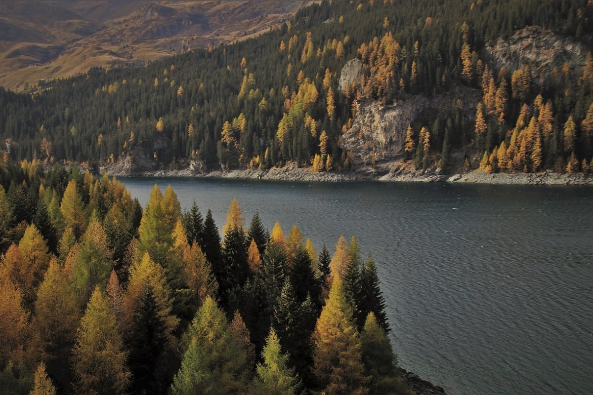 How climate change is transforming Italian mountain forests