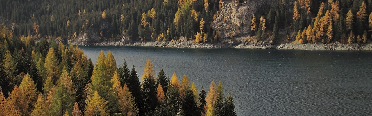 mountain landscape with trees and a river