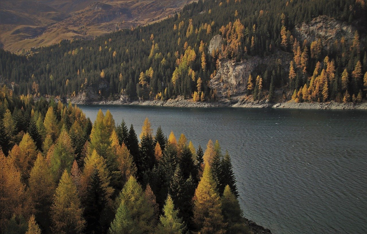 mountain landscape with trees and a river