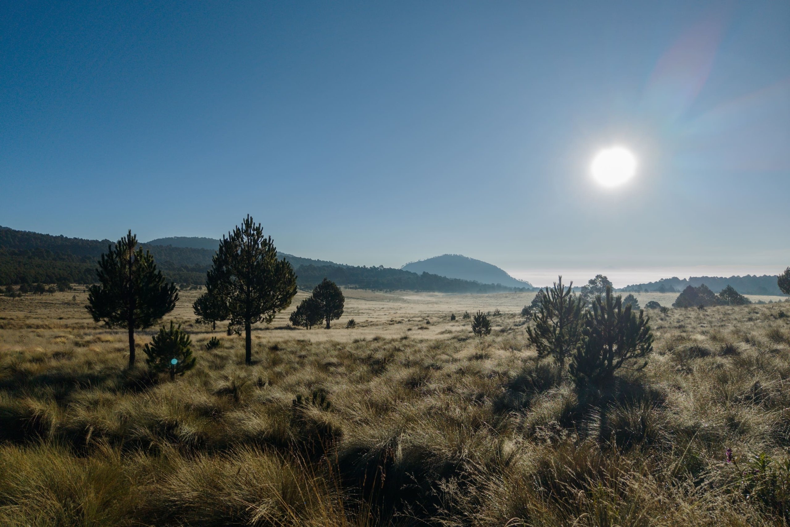 BiomeRange Shift3_in Izta-Popo, Mexico (c) Armando Vega, CC 4.0