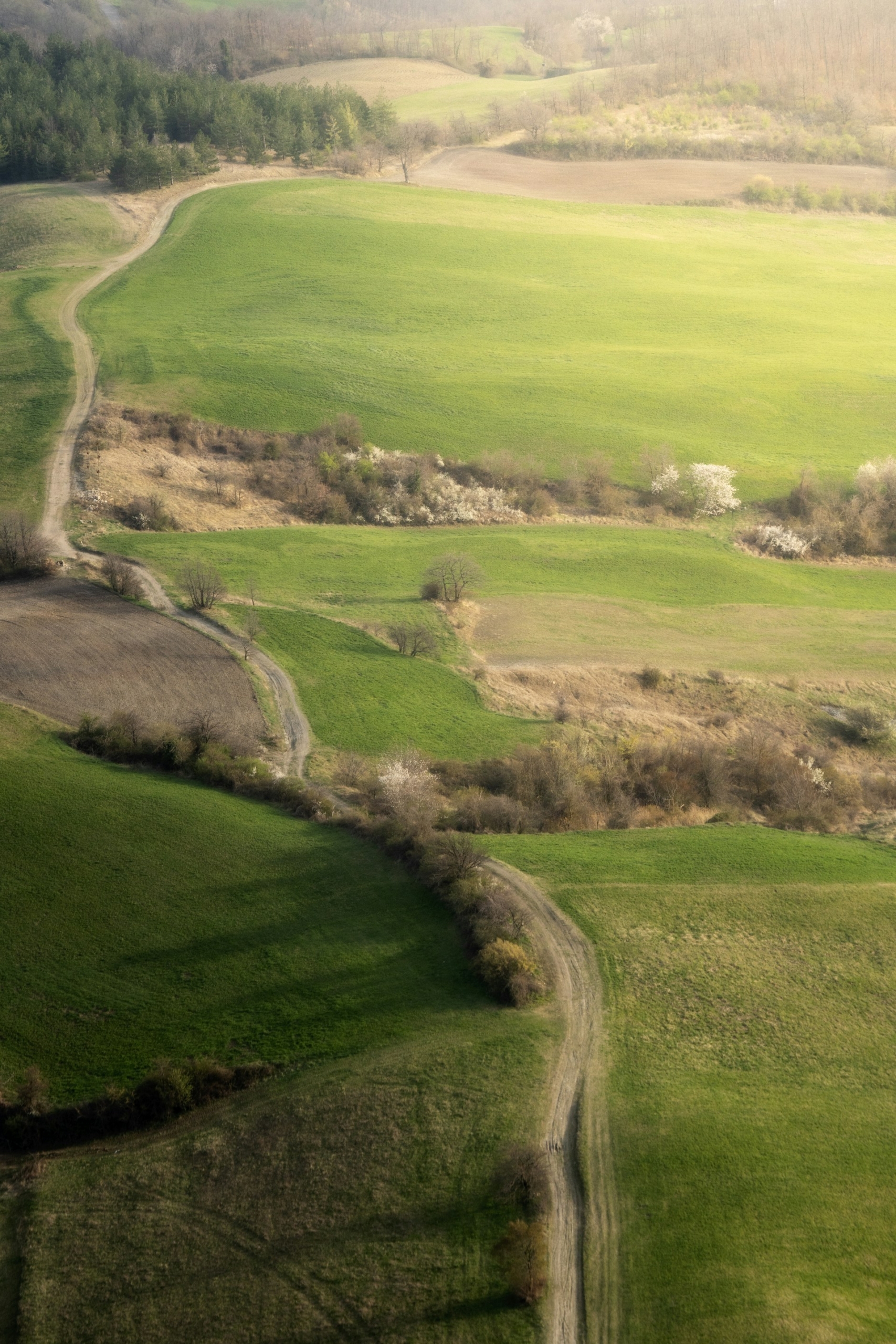 green countryside