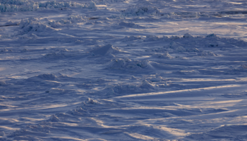 Un nuovo studio, guidato dal ricercatore del CMCC Lorenzo Zampieri, mette in luce le carenze dei modelli nel simulare accuratamente la conduzione del calore nel ghiaccio marino durante i mesi invernali. Capire queste carenze utilizzando osservazioni innovative migliora la nostra comprensione del sistema del ghiaccio marino e ci consente di migliorare i modelli climatici.