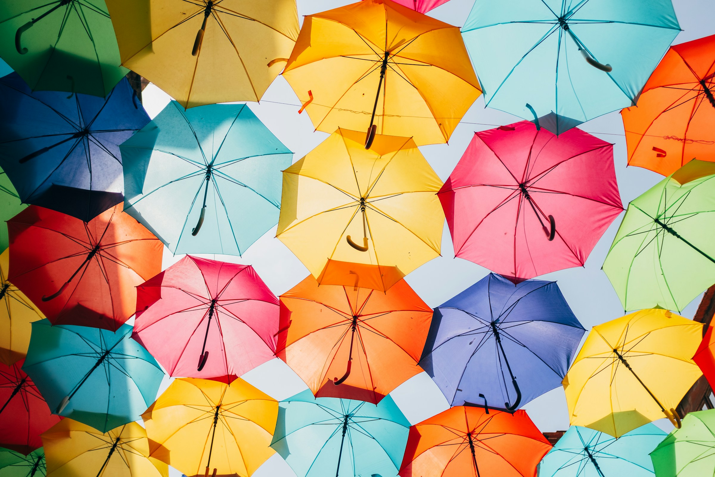 Climate information: usefulness and performance of climate services