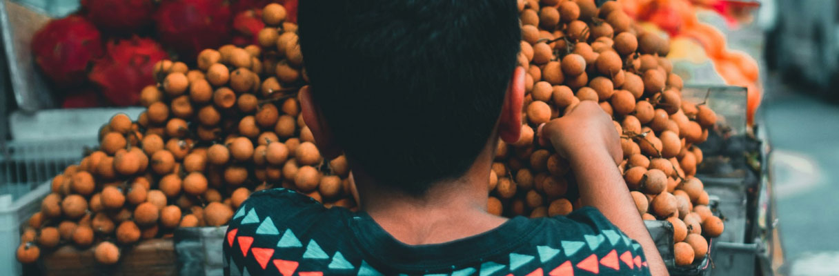 bambino che tocca della frutta