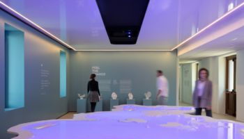 sea beyond exhibit