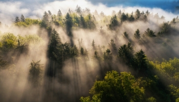 Earth System Models are the main tools scientists use to study and improve our understanding of the climate system and project climate change. However, even the best models still exhibit uncertainties in their projections. New research led by CMCC introduces a novel method that reduces uncertainties in near-surface air temperature projections by up to 54% compared to state-of-the-art approaches, making predictions more precise and reliable. This can help provide better guidance for governments and communities in planning effective adaptation and mitigation strategies to meet the challenges posed by climate change.