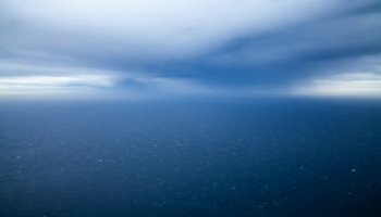 Esperta di riferimento nelle scienze atmosferiche e oceanografiche, Bracco porta al CMCC la sua esperienza internazionale e un approccio interdisciplinare, per contribuire al progresso della ricerca sulle vulnerabilità oceaniche, le soluzioni climatiche e la sostenibilità.