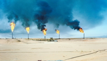 Methane levels are now over 2.5 times higher than pre-industrial levels, contributing around 0.5°C of warming in the 2010s—two-thirds as much as CO₂. Understanding and quantifying the global methane budget is important for assessing realistic pathways to mitigate climate change. A new paper, involving an international team of researchers including CMCC’s Sergio Noce, provides insight on global methane sources and sinks. From the little known role of termites to the costs and benefits of mitigating emissions, the Budget offers a comprehensive view of the geographical regions and economic sectors whose emissions have changed the most since 2000.