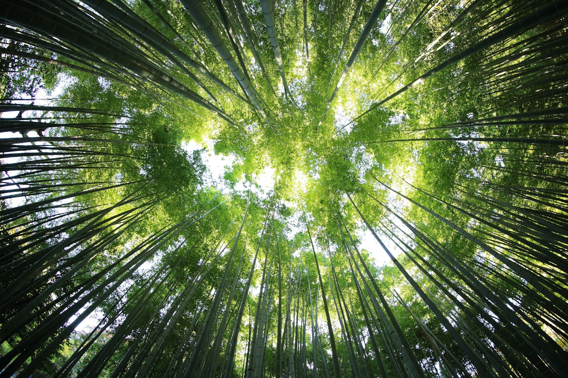 “Ecosistema Futuro”: la rete per pensare il domani dell’Italia
