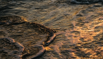 oil spill in sea water