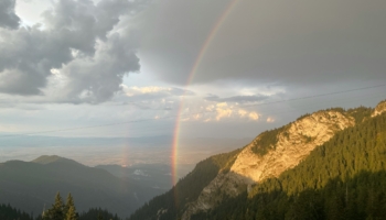 The European Association of Environmental and Resource Economists (EAERE) has released a statement reaffirming the importance of academic and research freedom.