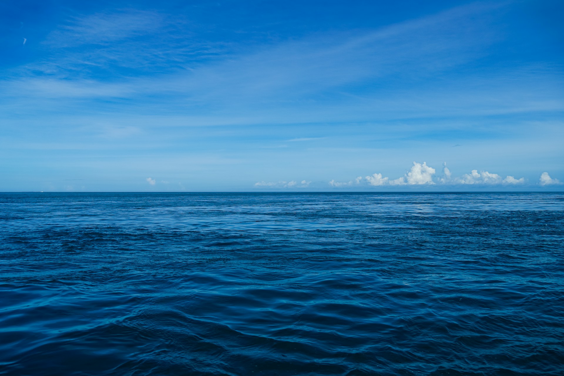 ocean