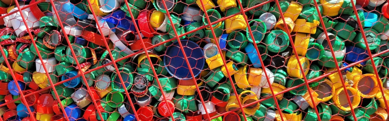 killari-hotaru-6ZGEQb-CxIo-unsplash