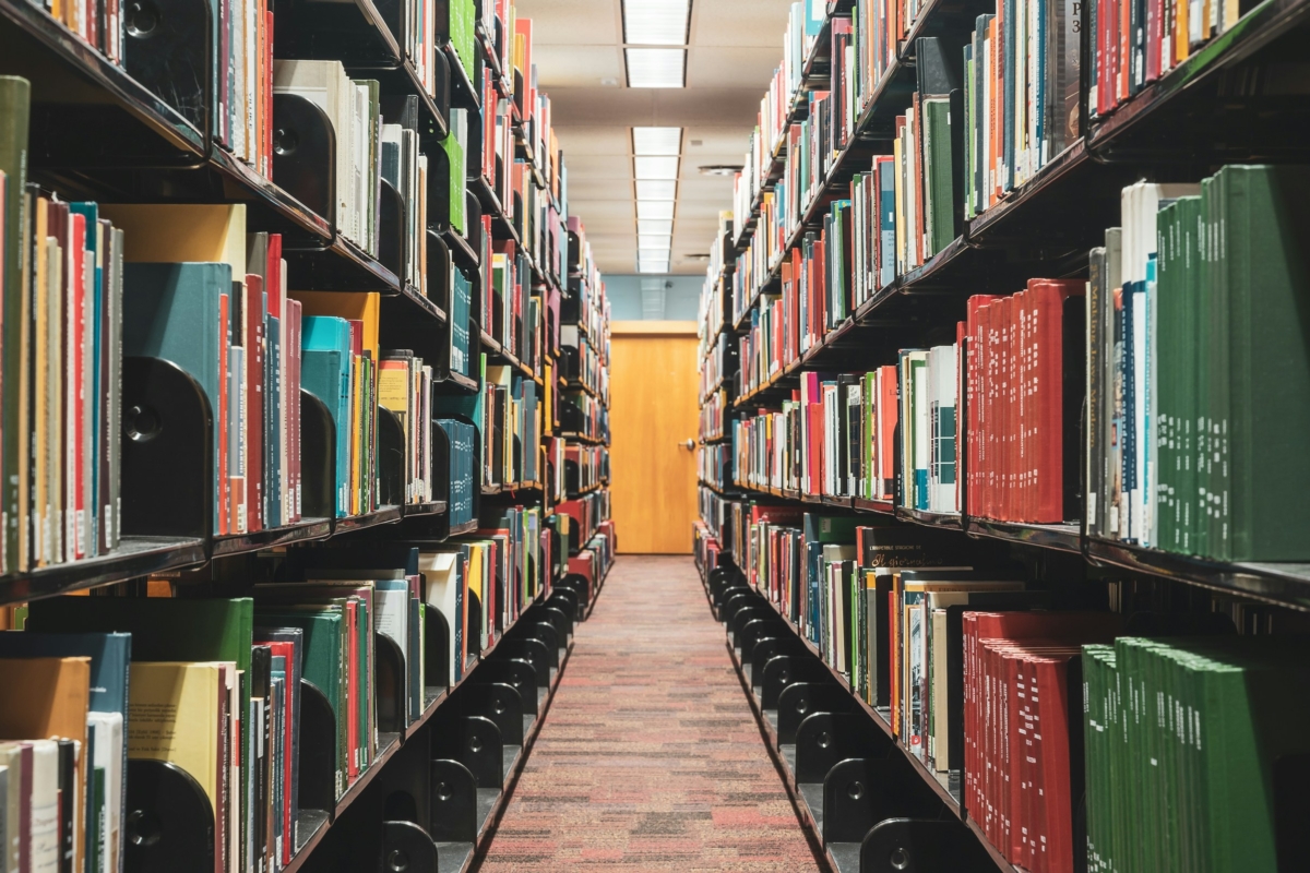 Scienziati di fama mondiale si uniscono al CMCC: ecco i nomi dei primi Bassi Fellow