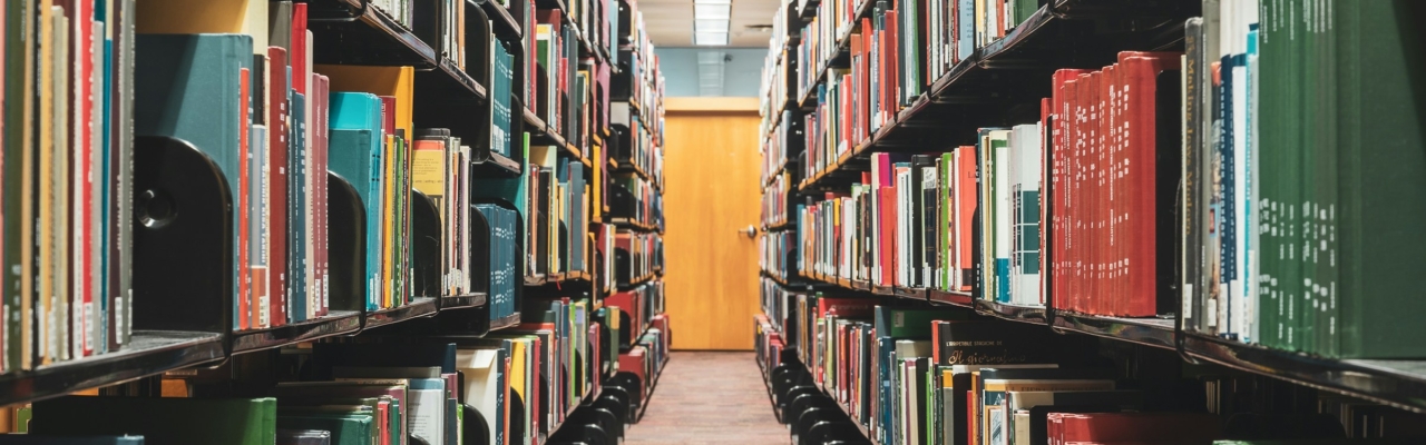 FERS Bassi Fellowship