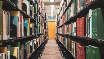 FERS Bassi Fellowship