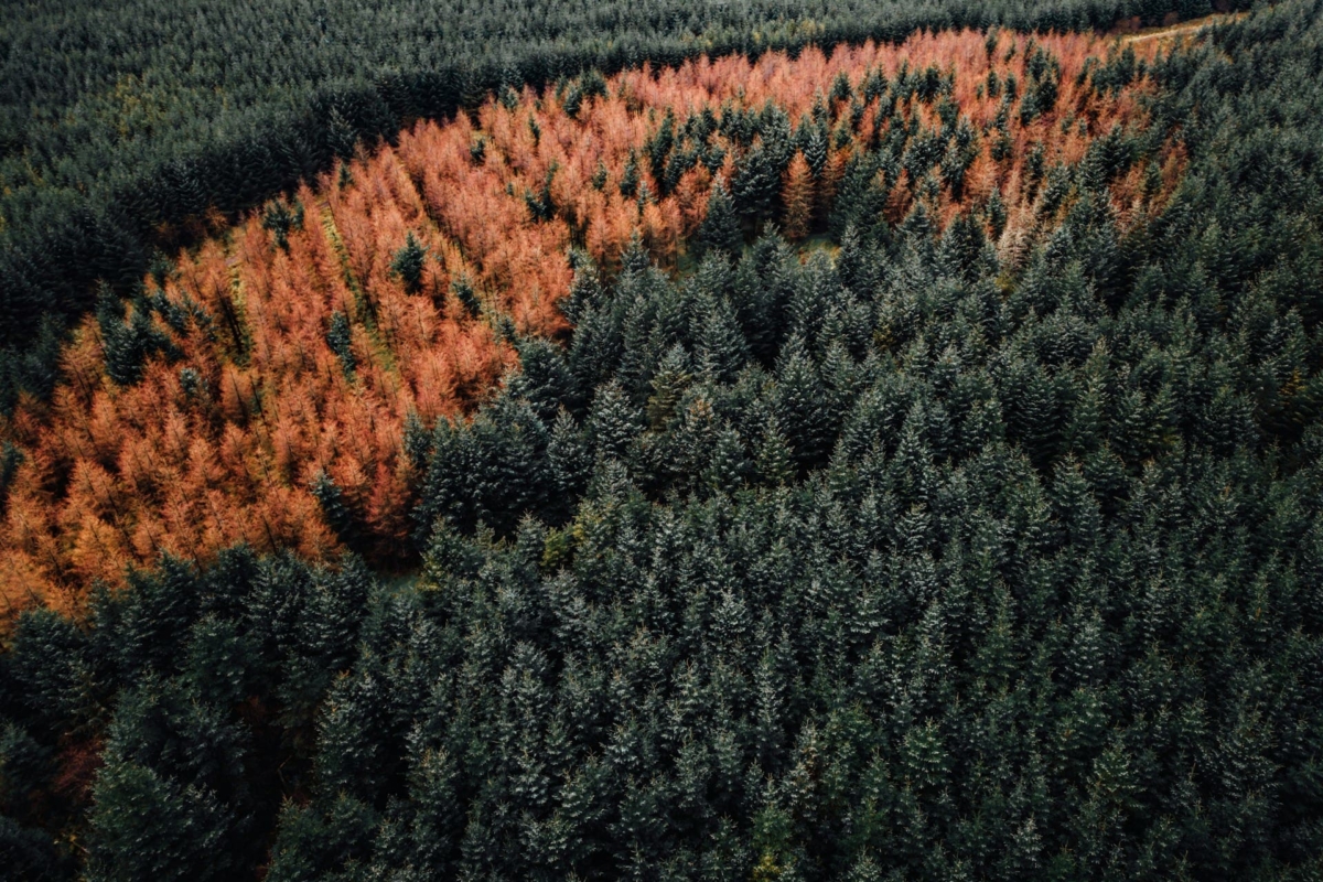 Tra passato, presente e futuro: Elena Xoplaki al CMCC