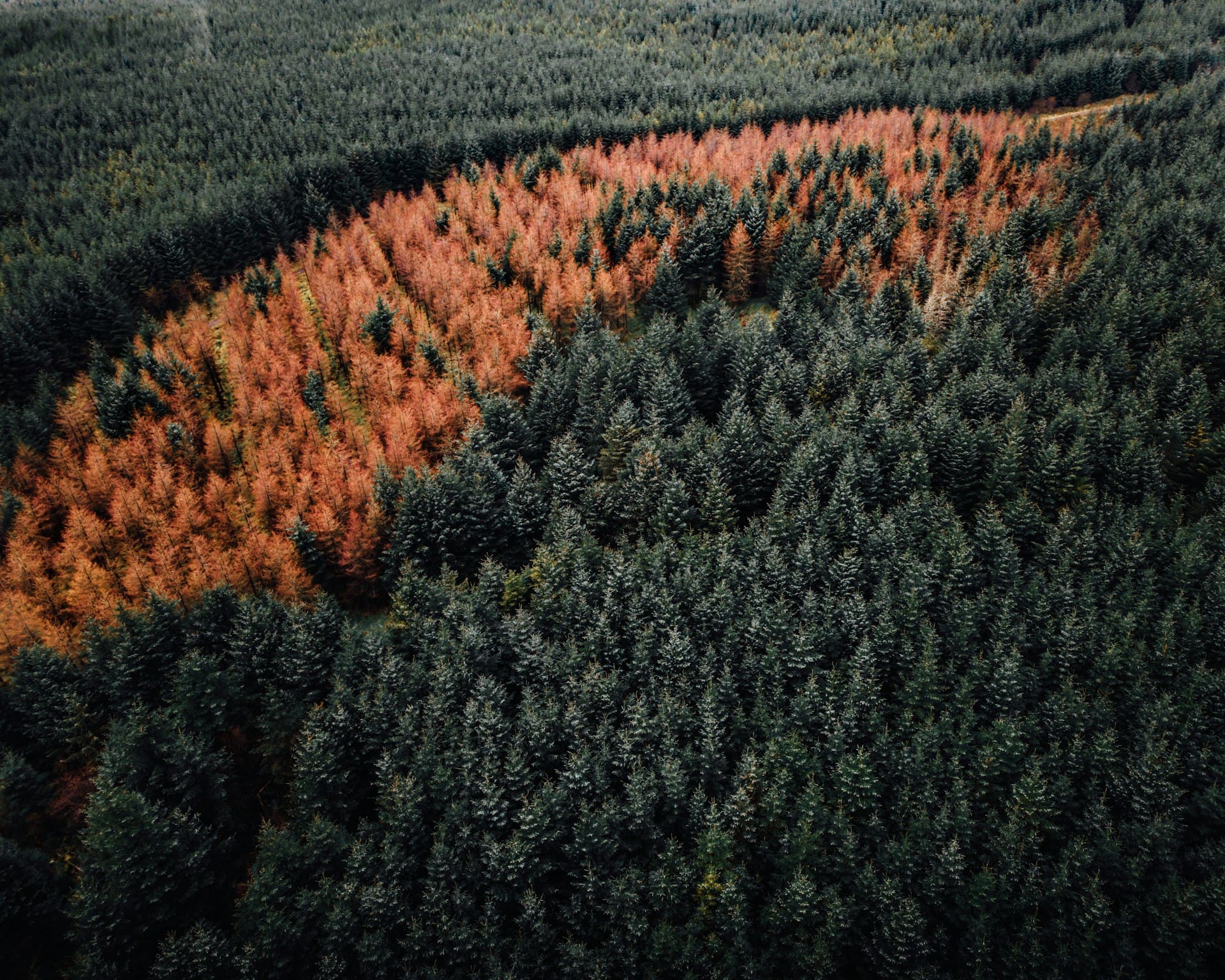 Linking past, present, and future: Elena Xoplaki joins CMCC