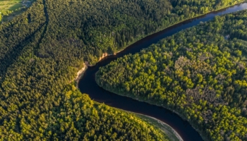 At COP30 in Belém, forests take centre stage in the debate with the TFFF, the international fund aimed at protecting tropical areas from deforestation and highlighting their crucial role in climate policies. In this context, a new study by authors from the CMCC highlights that climate change will dramatically increase wildfire danger globally, with almost all fire-prone regions expected to experience heightened risk by the end of this century: “Climate-driven fire danger is not a distant or localized issue, but a growing global challenge that demands proactive action,” comments Maria Vincenza Chiriacò, CMCC researcher, author of the paper, and now engaged in negotiations at COP30 in the AFOLU group on Agriculture, Forestry, and Other Land Use.