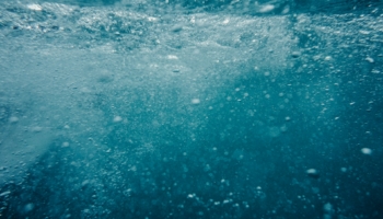 L&rsquo;oceano assorbe circa il 25% delle emissioni di CO₂ di origine antropica, ma la sua futura capacit&agrave; di immagazzinare carbonio resta incerta in un clima che cambia. Un recente rapporto UNESCO evidenzia importanti lacune nella comprensione delle dinamiche del carbonio oceanico, mentre la ricerca del CMCC sta lavorando per colmarle attraverso approcci integrati e interdisciplinari che migliorano modelli, osservazioni e soluzioni climatiche. &ldquo;Considerando che l&rsquo;oceano copre circa il 70% della superficie del pianeta, queste incertezze sono particolarmente rilevanti&rdquo;, afferma la scienziata del CMCC Annalisa Bracco.