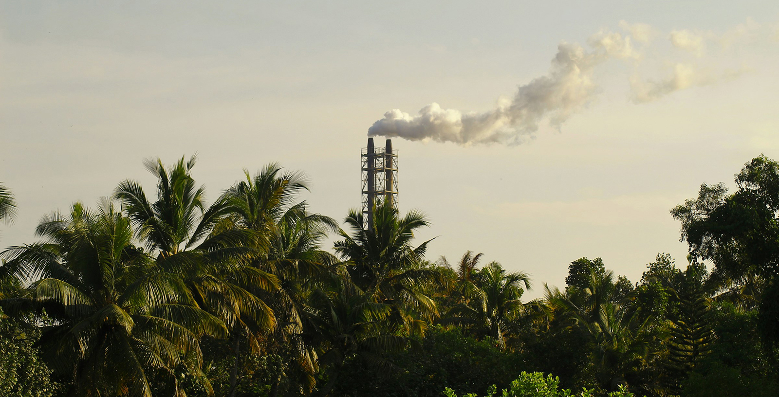 Industrial smokestack emitting smoke above tropical palm trees, illustrating air pollution, environmental impact, and the conflict between industry and nature.