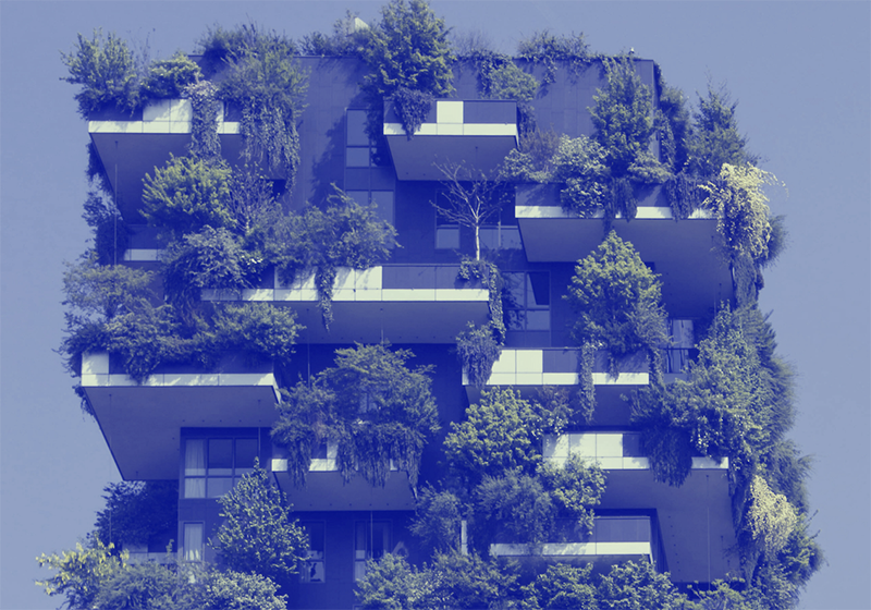 Climate Services Standardisation: Emerging Developments in AI and Co-Production