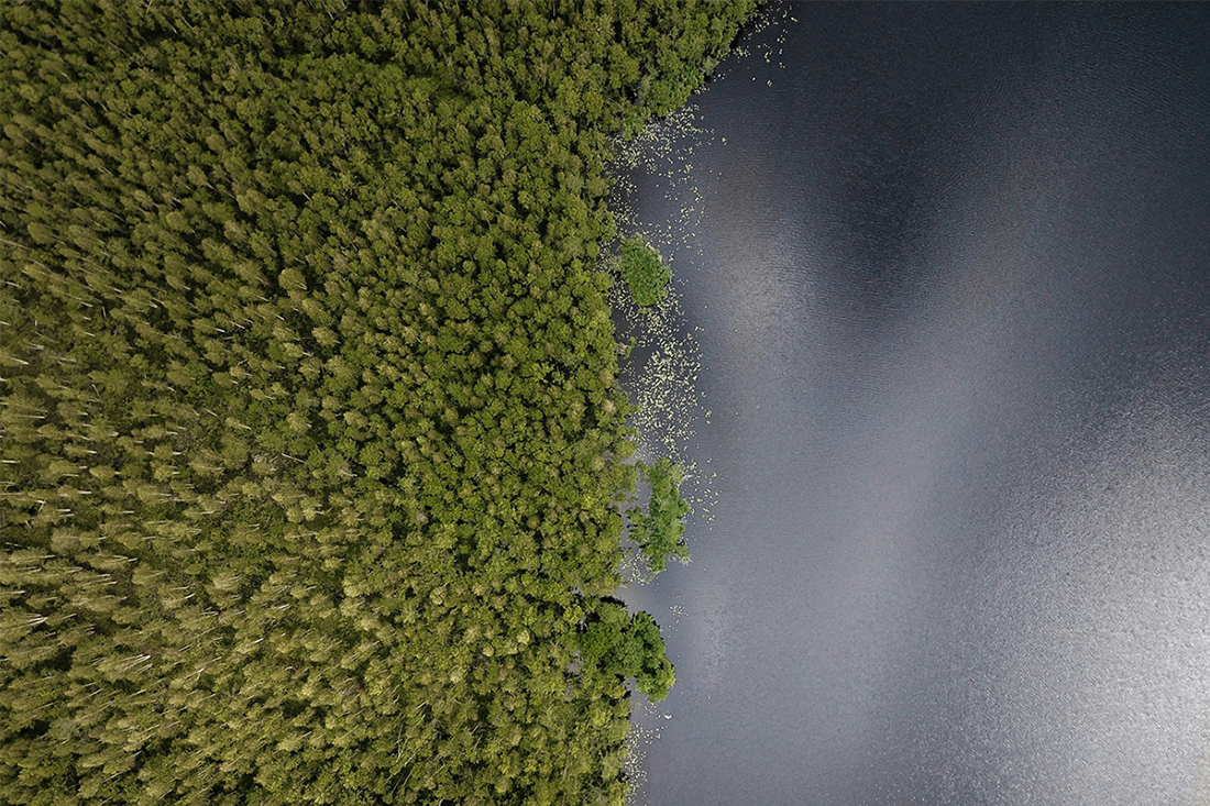 Sustainable Decarbonazation