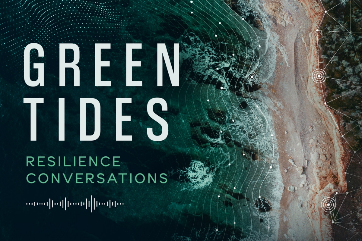 Digital twins to anticipate and manage coastal risk: A new episode of Green Tides