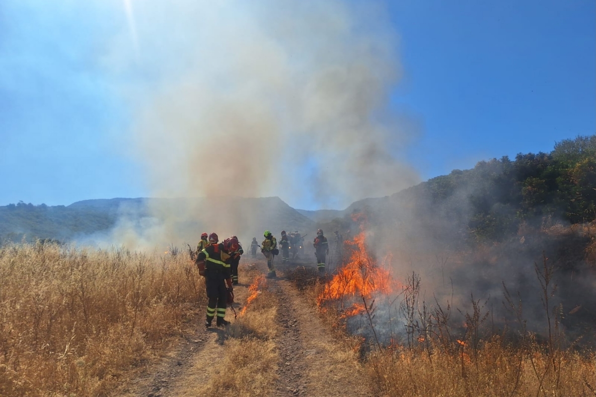 The new wildfire reality: Reflections from the London Climate Action Week