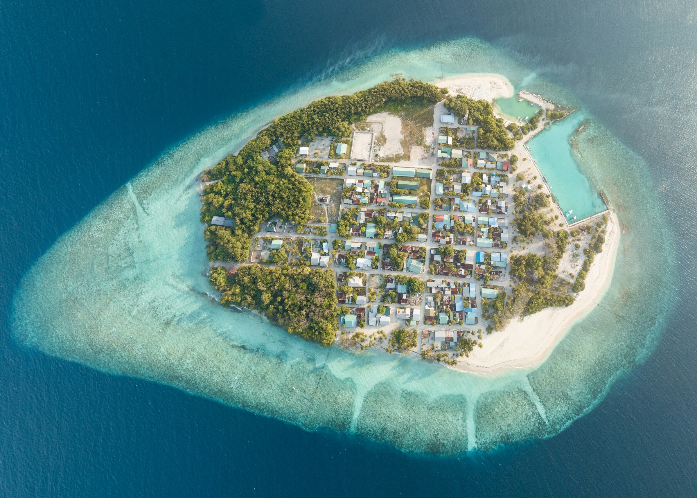From small island states to the African continent climate injustice is also a matter of food