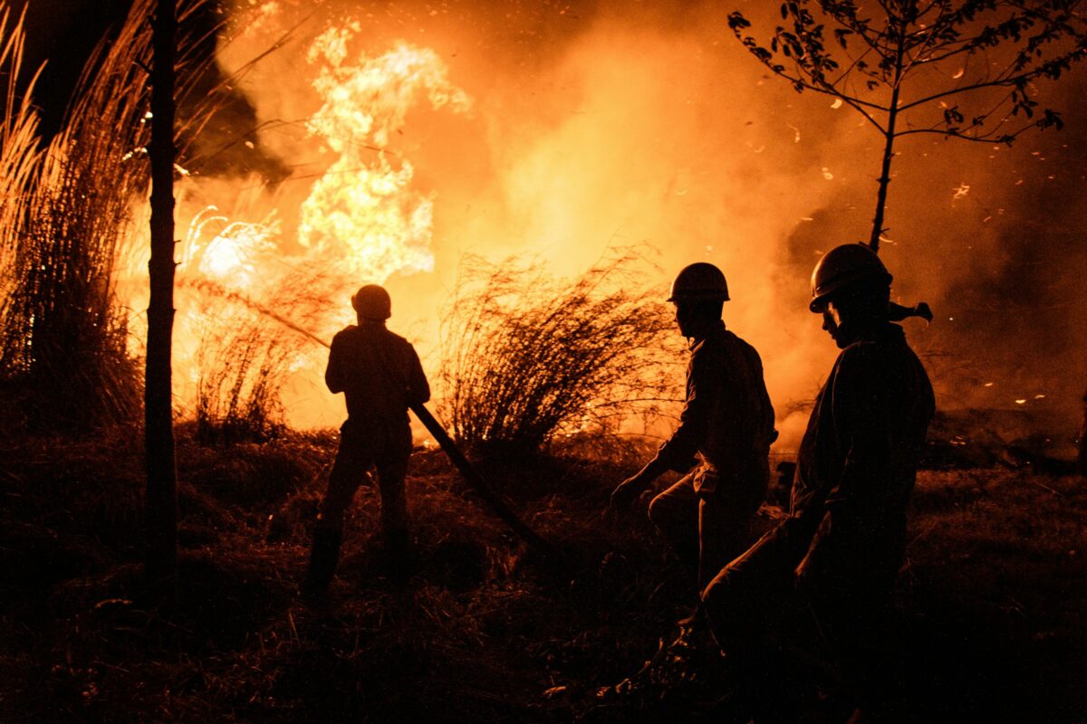 Dalle peer review alle politiche: il CMCC contribuisce ad una governance pi&ugrave; efficace degli incendi boschivi