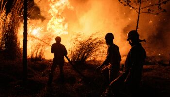 wildfire risk management