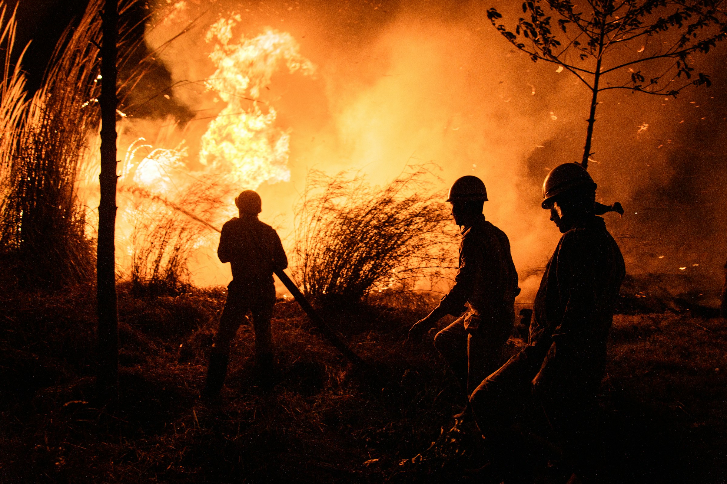 From peer reviews to policy: CMCC research turns EU wildfire assessments into a tool for better governance