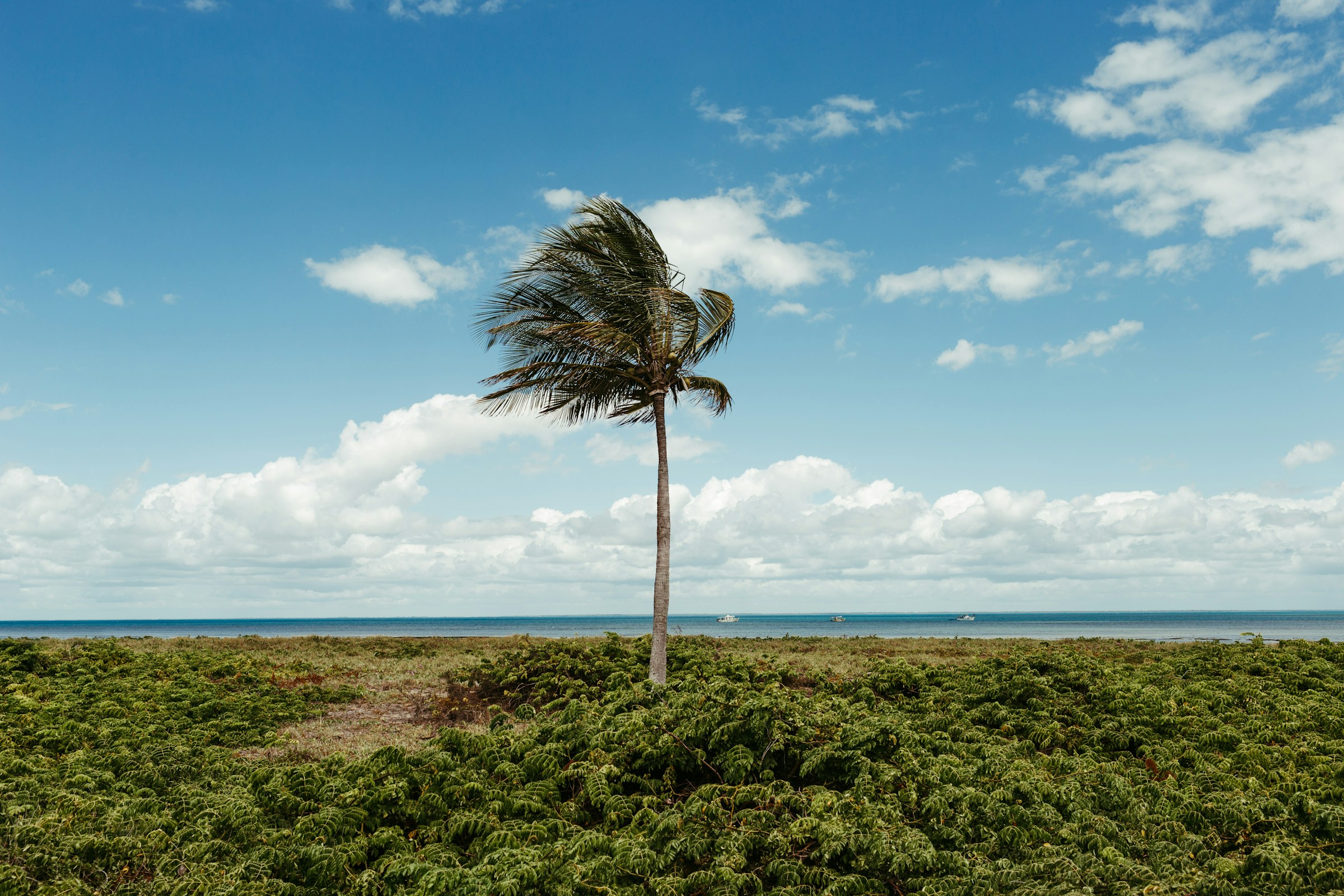 Climate change has a disproportionate impact on food security in Small Island Developing States