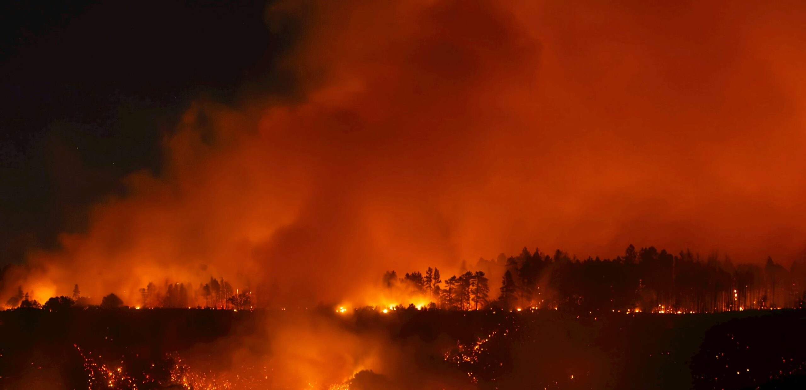 New satellite-based tool maps greenhouse gas emissions from forest fires