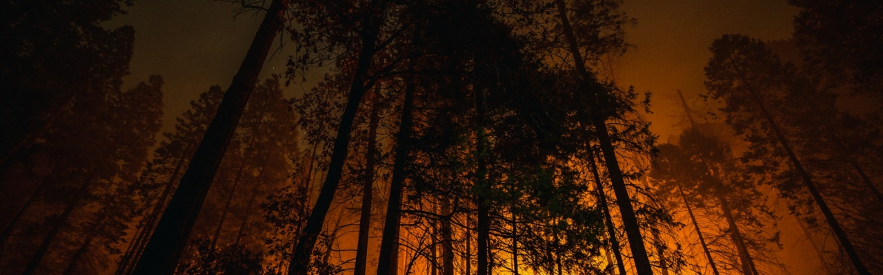 wildfire
