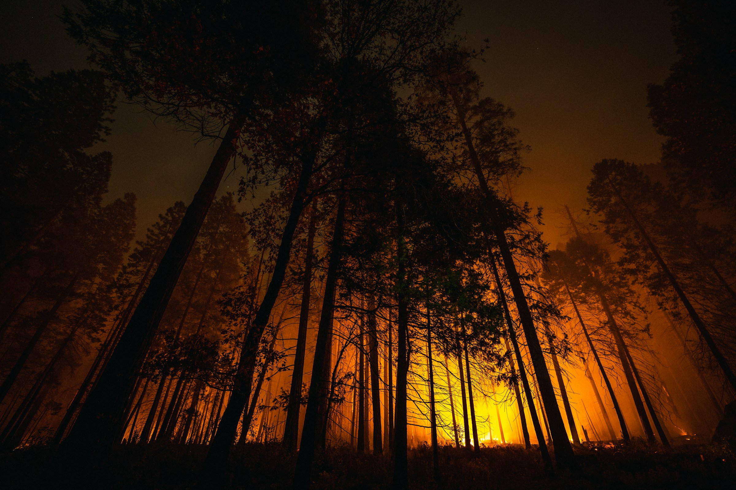 wildfire