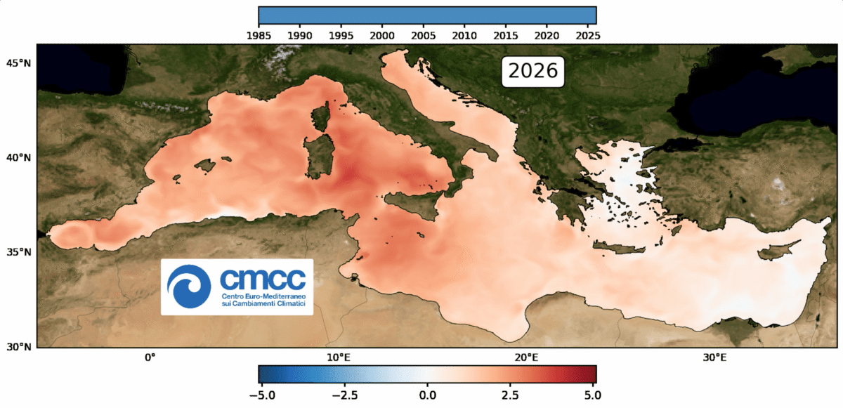 A Mediterranean summer, as told by the sea