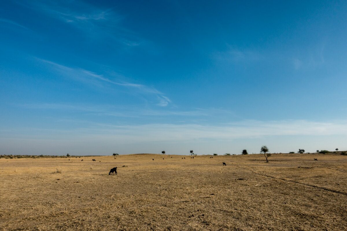 drought costs Europe