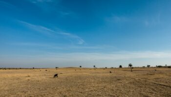drought costs Europe