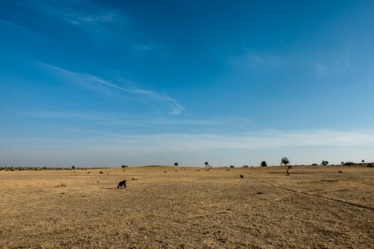 drought costs Europe