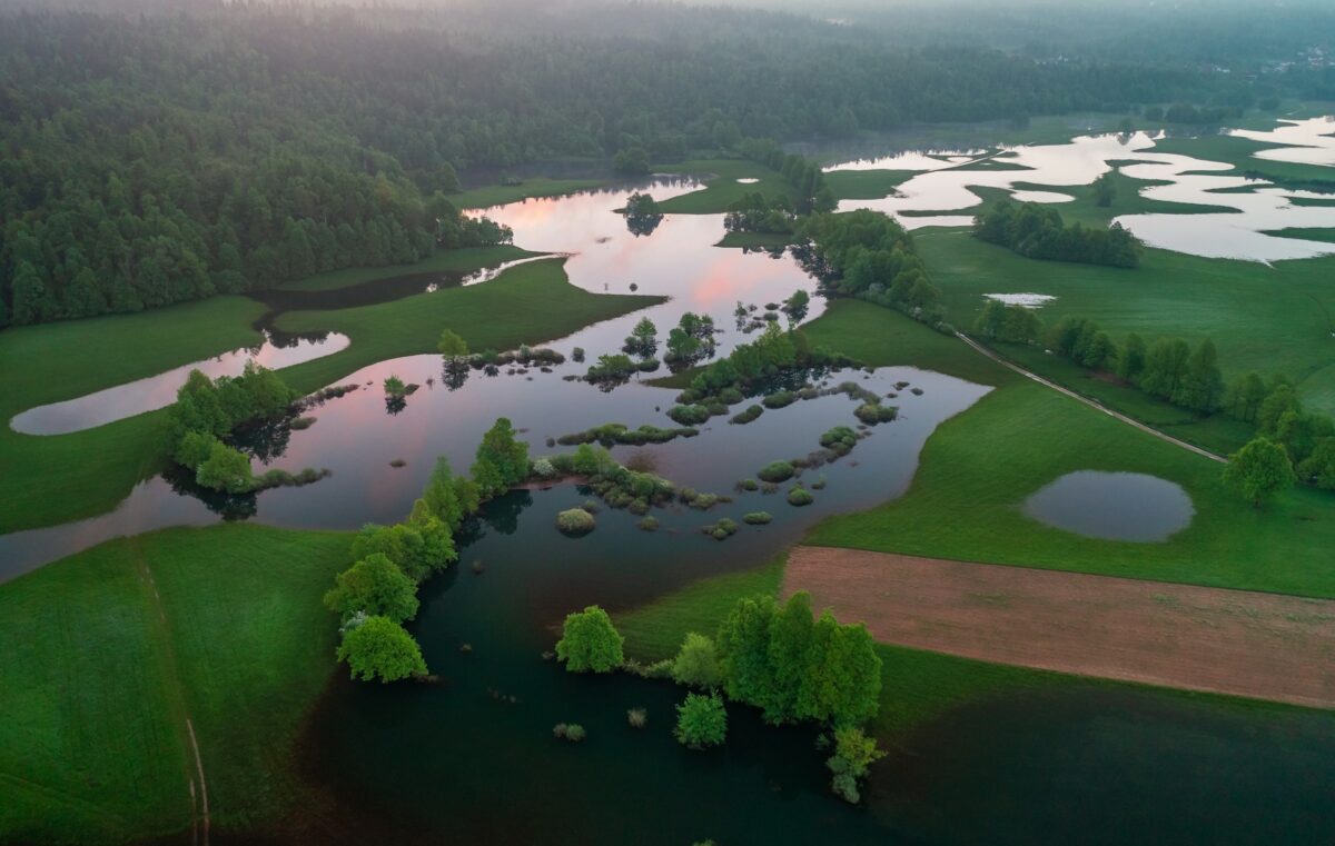 CMCC joins the European Commission&rsquo;s Water Resilience Stakeholder Platform